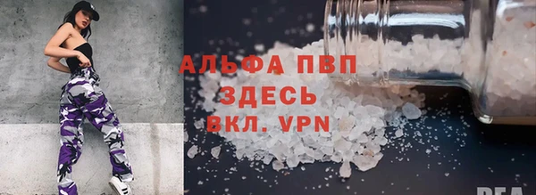 стафф Алексин