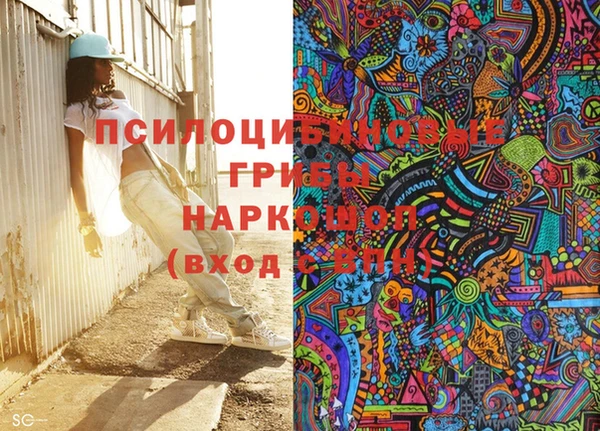 стафф Алексин