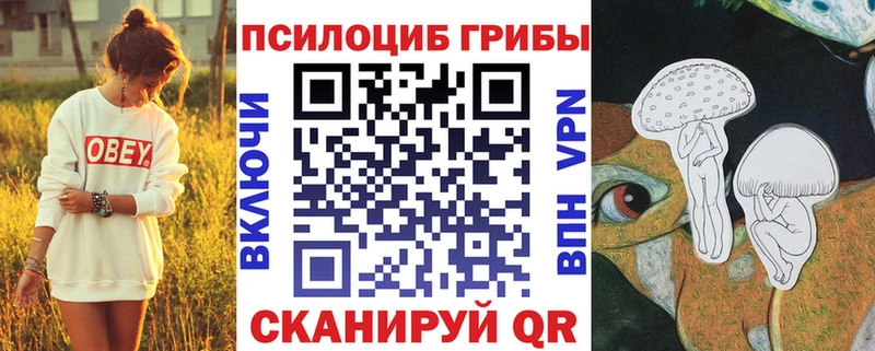 Галлюциногенные грибы Cubensis  мега ТОР  Карасук 