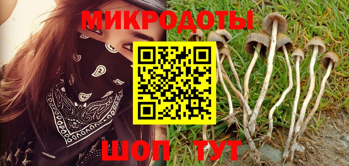 Карасук  Псилоцибиновые грибы мицелий  Вход с VPN 